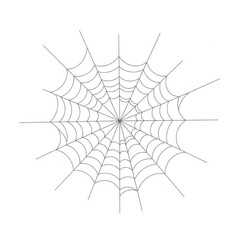 Detailed Spiderweb Illustration on White Background Featuring Geometric Pattern and Radial Symmetry