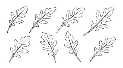 Collection of oak leaf silhouettes in a delicate sketch style