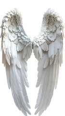 Fototapeta premium Pair of large, detailed white angel wings (2)