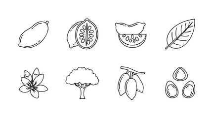 Collection of hand drawn cocoa bean tree fruit and leaf illustrations silhouette