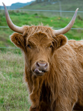 Travel in Scotland