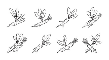 Collection of hand drawn carrot silhouettes with leafy tops in a sketchy style