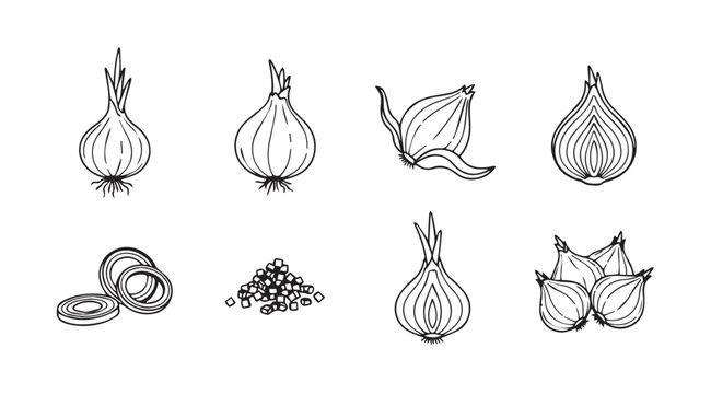 Collection of hand drawn onion illustrations in a distinctive silhouette style