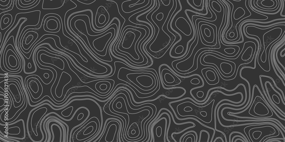Poster background of the topographic map. topo map with elevation. geographic line mountain relief. vector 