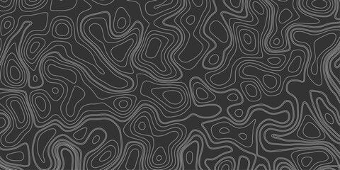 Background of the topographic map. Topo map with elevation. Geographic line mountain relief. Vector  illustration
