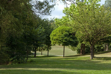 Parc départemental du Morbras, Sucy en Brie, 94, Val de Marne, France