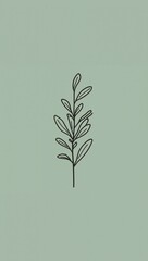 Minimalist eucalyptus plant flat design simple line hand drawing on plain dusty green background