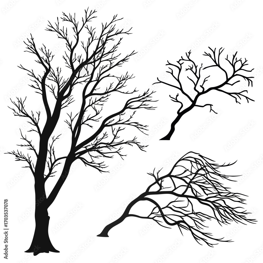 Aufkleber collection of three stark black bare tree silhouettes with intricate branch patterns against a clean