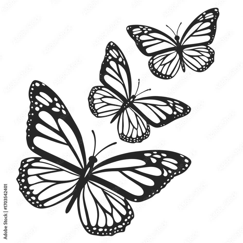 Poster three monochrome butterflies with detailed wing patterns in a dynamic arrangement on white backgroun