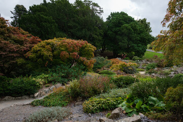 Vibrant Flowerbeds at the National Botanic Gardens in Dublin, Ireland