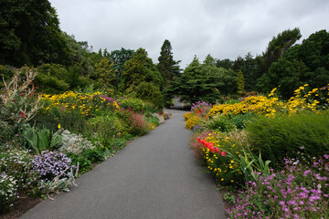 Vibrant Flowerbeds at the National Botanic Gardens in Dublin, Ireland