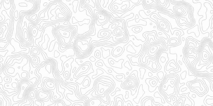 white topography map geography relief diagram texture design. Topography white background and black line world map texture design. Lines Topographic contour lines grid map seamless pattern.