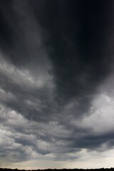 Clouds over the forest in summer
