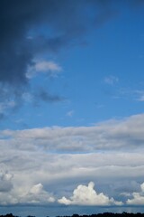 Clouds over the forest in summer