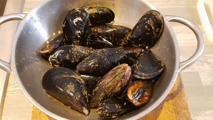 Moules de bouchot