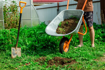Man doing yard work chores by spreading mulch around landscape bushes from a wheelbarrow