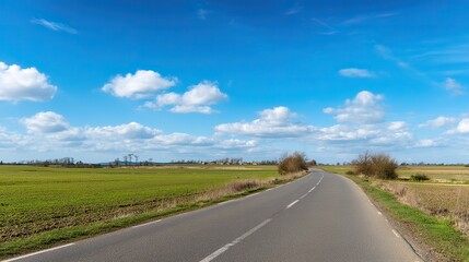 Fototapeta premium The spacious country road extends through the fresh green fields, providing ample white space for text, signs, or design elements, capturing a tranquil rural daytime scene.