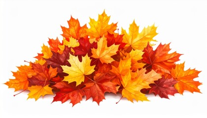Pile of Vibrant Autumn Maple Leaves in Shades of Yellow Orange and Red on White