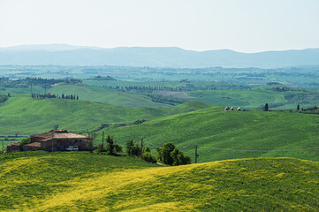 Naklejka premium spring countryside landscape over the tuscany hills