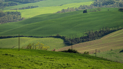 Naklejka premium spring countryside landscape over the tuscany hills