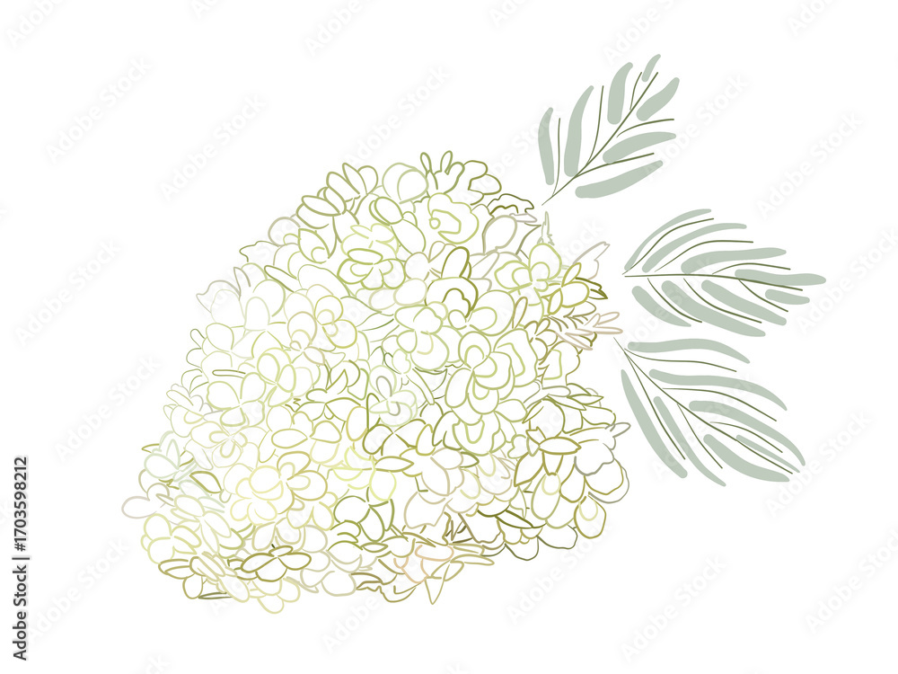 Poster Delicate hydrangea featuring intricate patterns and soft hues in a serene composition. Coloring page