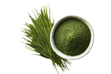 Fresh green grass powder in white bowl