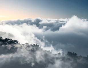 Obraz premium Dense Fog Over Green Forest Trees on Mountainside Under Cloudy Sky in Overcast Weather
