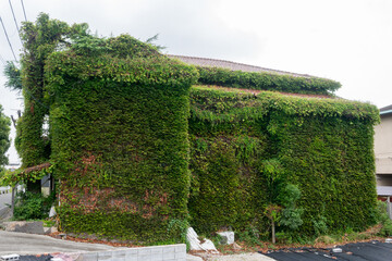 日本の兵庫県姫路市網干区の古くてとても美しい建物