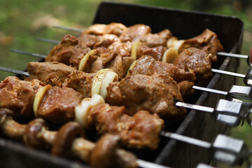 Fresh raw pork on skewers with mushrooms and onions. 