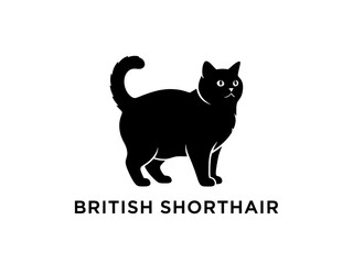 black cat british short hair vector illustration