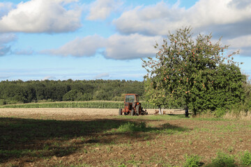 Red tractor in a field, agriculture, there is an apiary nearby