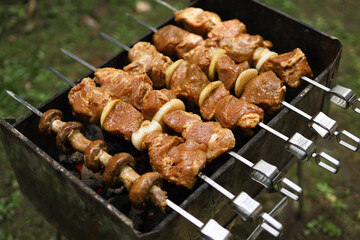 Fresh raw pork on skewers with mushrooms and onions. Raw kebab.