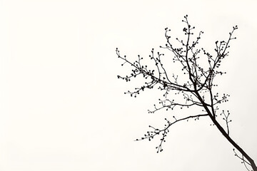 Silhouette Illustration of a Tree Branch with Small Black Fruit on a Minimalist White Background