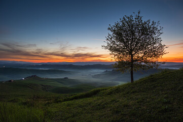 spring sunrise over the Tuscany hills with a tree in the foreground, Italy