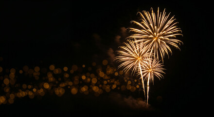 Fototapeta premium Elegant fireworks bursting in night sky with golden sparks and effects 