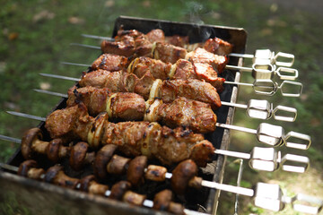 Grilled pork kebab, meat on a metal skewer. Barbecue outdoors in the garden