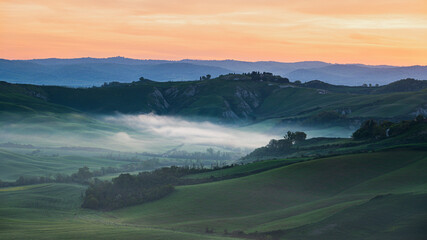 spring sunrise over the Tuscany hills with a tree in the foreground, Italy