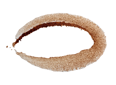 Oval-shaped, cross-sectioned biological specimen