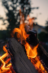 Brennende Holzscheite eines Lagerfeuers