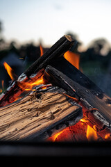 Brennende Holzscheite eines Lagerfeuers