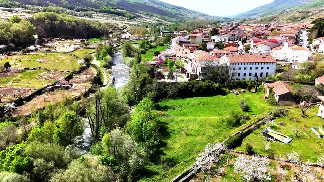 Spring Blossoms in Jerte Valley Spain