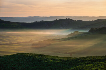 spring sunrise over the Tuscany hills with a tree in the foreground, Italy