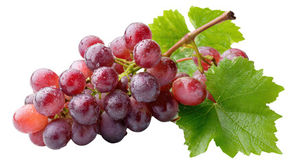 Fototapeta premium Fresh red grapes with green leaves on white isolated background.