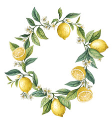 Lemons, blossoms, leaves frame, white background, Hand drawn watercolor illustration of yellow tropical citrus Food on white isolated background. Drawing of lemon tree with green leaves. Sketch of jui