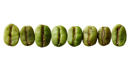 Row of fresh green coffee beans isolated on a white background.