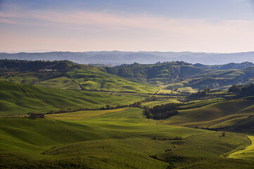 Fototapeta premium spring sunrise over the Tuscany hills with a tree in the foreground, Italy