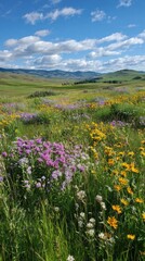 Obraz premium Wildflower meadow with rolling green hills under a bright blue sky