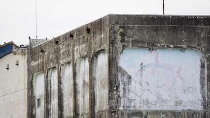 old Concrete building in Wakayama Japan with fish murals painted on the walls