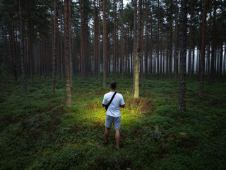 Drone aerial view of a man with a flashlight exploring a dark, moody, and mysterious pine forest at night.