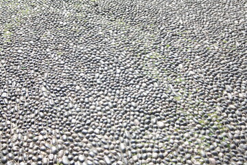 texture of carpet